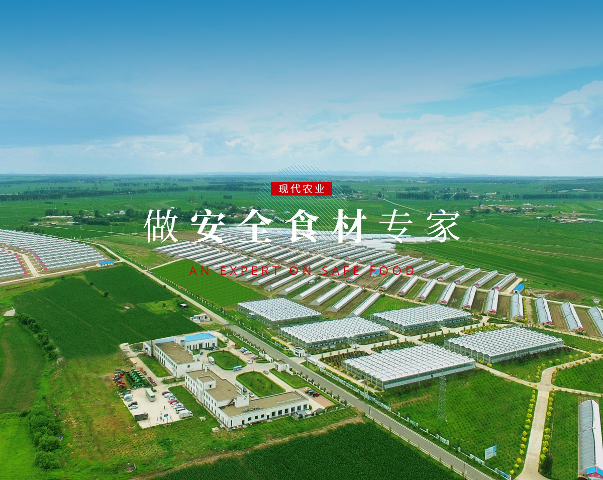 banner5_p9615812 EBET易博·(中国)官方平台